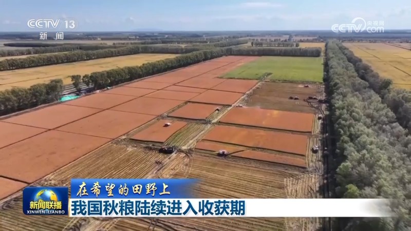 秋粮丰收、水果出海、民航新高：多维数据凸显中国经济韧性与活力