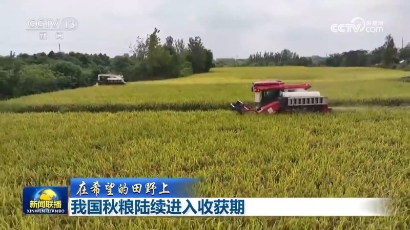 秋粮丰收、水果出海、民航新高：多维数据凸显中国经济韧性与活力