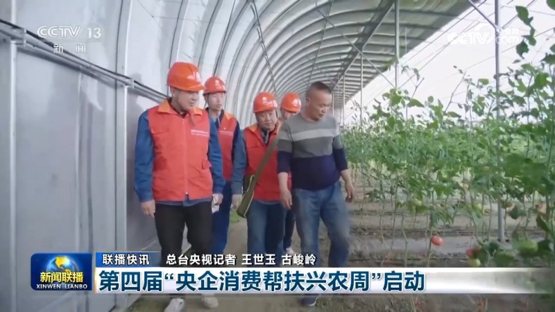 秋粮丰收、水果出海、民航新高：多维数据凸显中国经济韧性与活力
