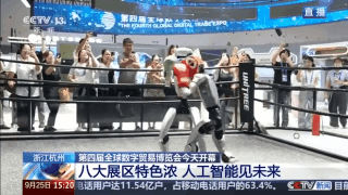 能“摄像”的眼镜、机甲格斗机器人 数贸会亮点十足