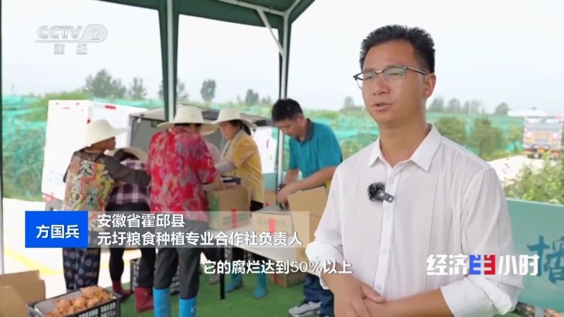 发展跑出加速度 在冷链物流中看全国统一大市场
