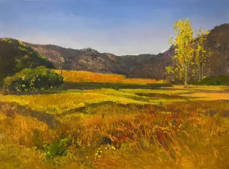 孙立新 | 北京密云山村油画风景写生