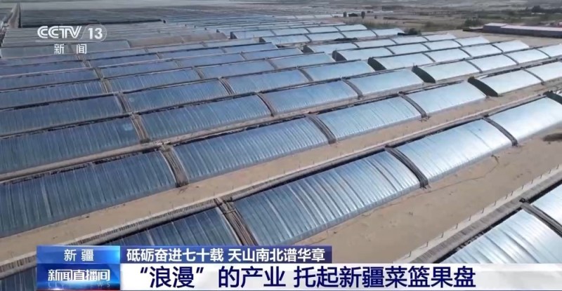 砥砺奋进七十载 天山南北谱华章丨沙漠上的“浪漫”产业 托起新疆菜篮果盘