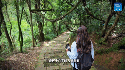体验云南 丨通海日记
