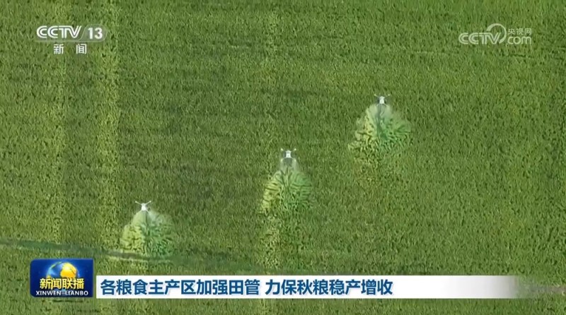 各粮食主产区加强田管 力保秋粮稳产增收