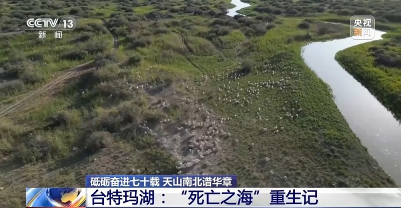 砥砺奋进七十载 天山南北谱华章丨十年巧治流沙 台特玛湖焕然新生