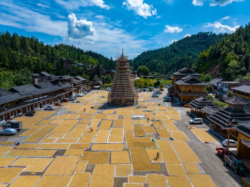中国农民丰收节｜晒出一年好“丰”景