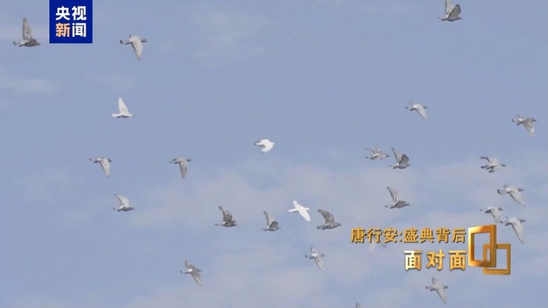 面对面丨盛典背后 服务保障的“北京速度”如何炼成？