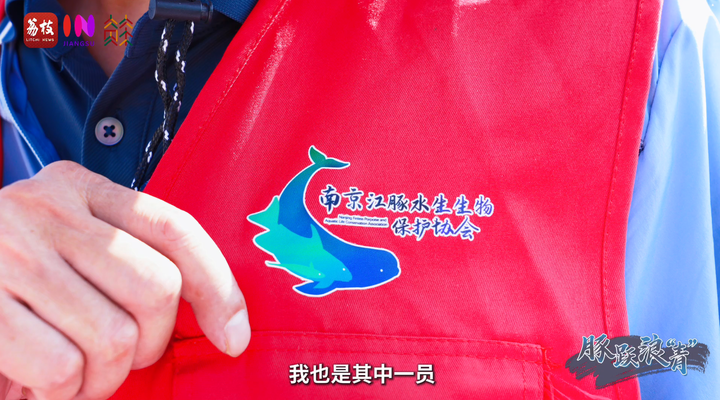 “县”在起笔 青绿绘江山 | 春江十里 豚跃浪“青”