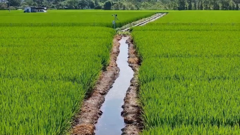 新华视点｜各地多维度发力 多元探索绘就乡村振兴新画卷