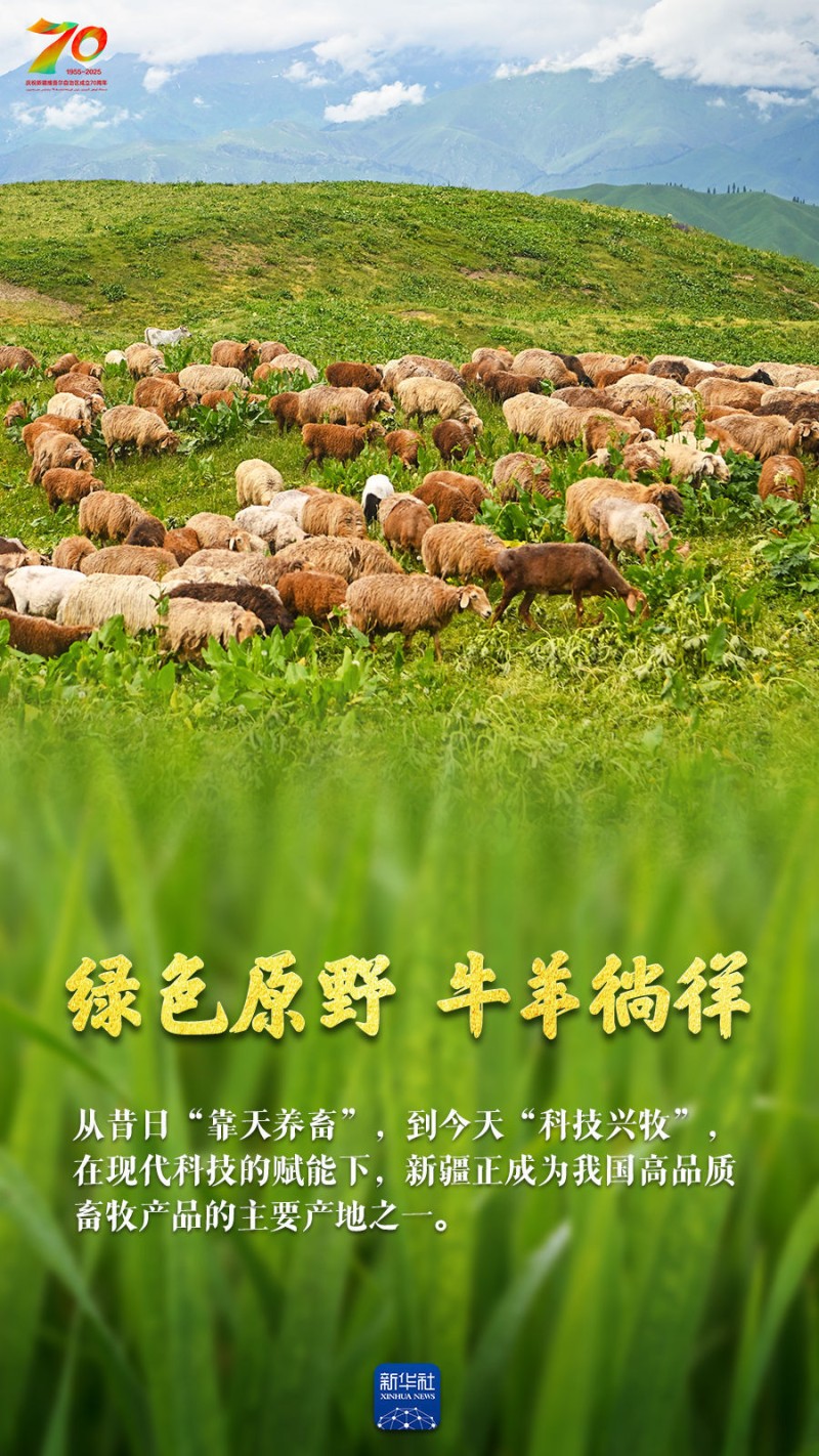 巨变70年｜天山南北“丰”景如画
