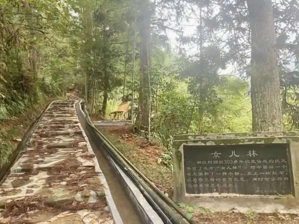 【理响中国・一线探新】福建龙岩：文明新风润乡土