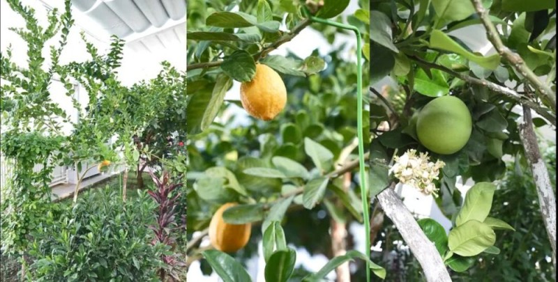 我站立的地方是中国――走进帕米尔高原“生命禁区”