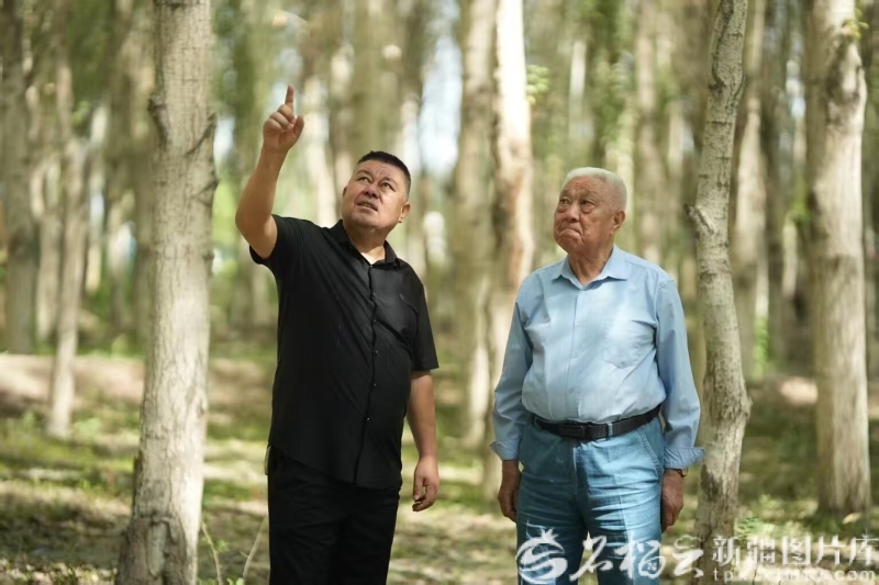 致敬新疆榜样丨柯柯牙工程建设者群体：执“绿”为笔绘就戈壁新画卷
