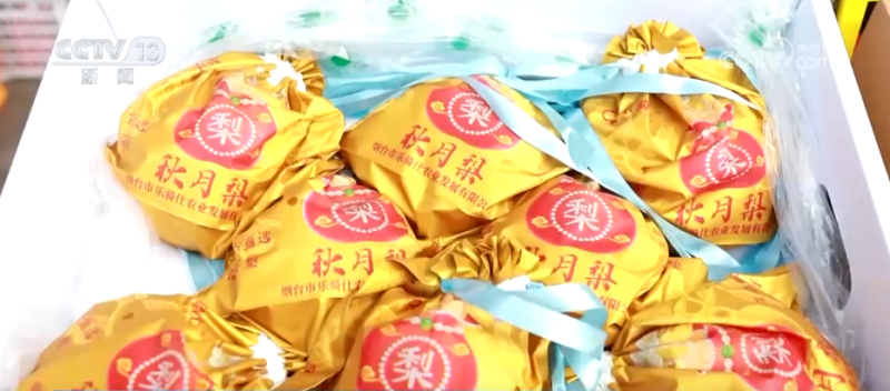 “果盘子”物丰量足、海鲜花卉购销火热 假日消费市场供需两旺活力足