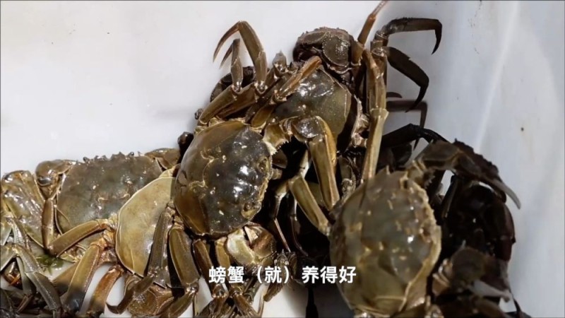 新华视点｜“小特产”撬动“大产业”：特色产业激活经济新动能