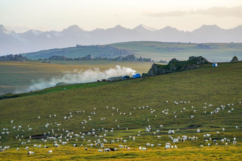 我在现场・光影流年｜天山之下 绿洲新韵