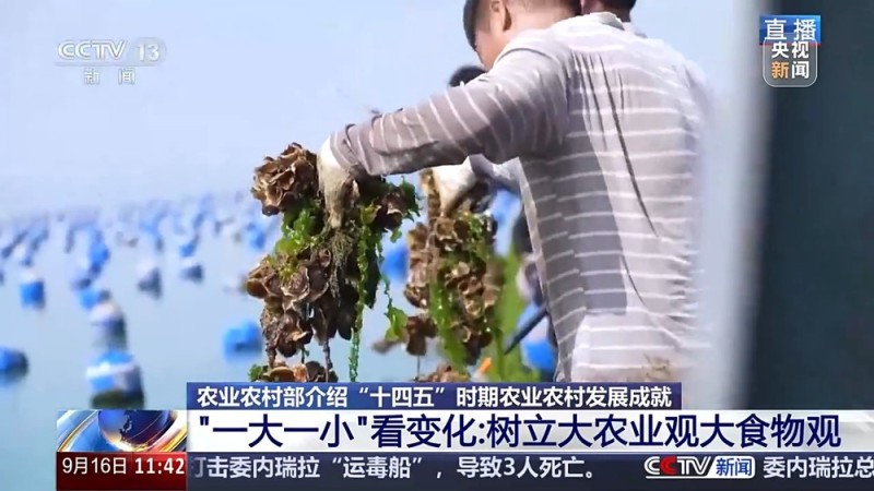 “十四五”时期农业农村发展有何变化与成效？几个关键词告诉你