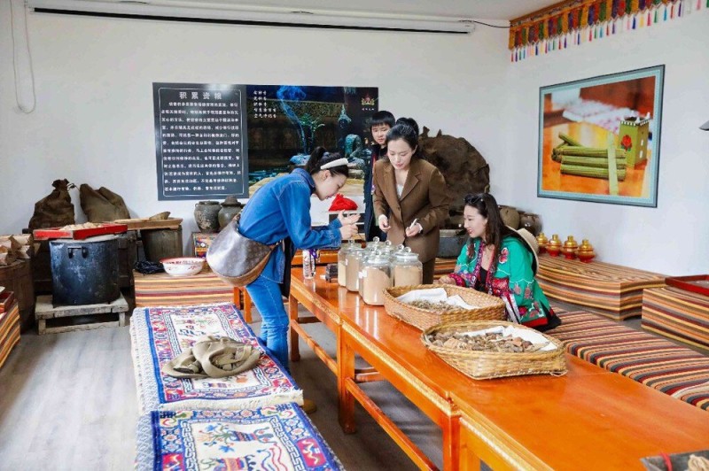 网络达人探访香格里拉金龙社区 解码民族团结与文旅共富双答卷