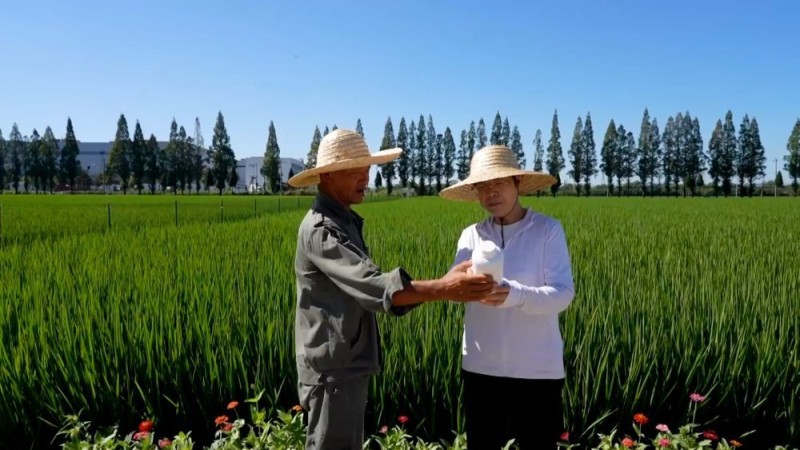新华视点｜各地多维度发力 多元探索绘就乡村振兴新画卷