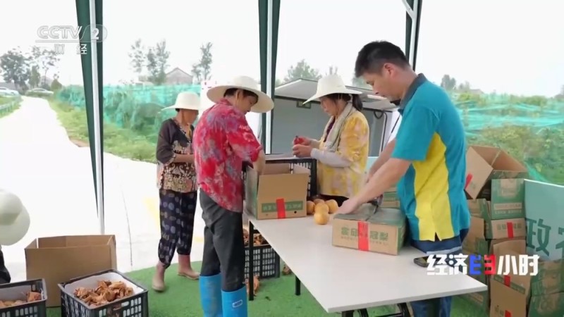 发展跑出加速度 在冷链物流中看全国统一大市场
