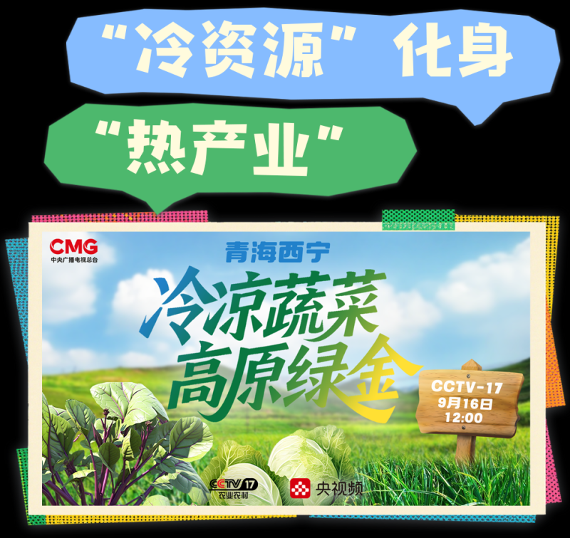 总台周看点丨稳稳向前！