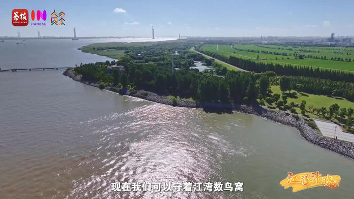 “县”在起笔 青绿绘江山丨江湾沐晓：褪去“锈色”走“金线” 绣出生态与产业“双面锦”