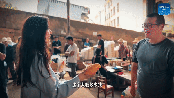 体验云南 丨通海日记