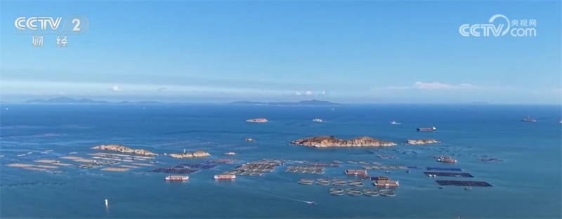 猪出栏、鱼满仓……百姓“菜篮子”物丰价稳 节日市场供应充足