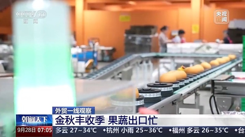 外贸一线观察丨从论斤卖到论克卖 科技撑腰让水果增价值