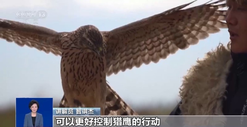 民间工艺+地方特产 “村博”逐渐“出圈”