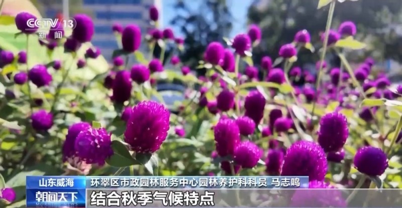 喜迎国庆 国旗鲜花扮靓各地街头