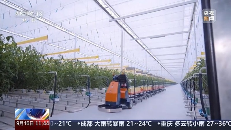 “十四五”时期农业农村发展有何变化与成效？几个关键词告诉你