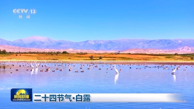 文化中国行丨二十四节气・白露 露从今夜白 月是故乡明