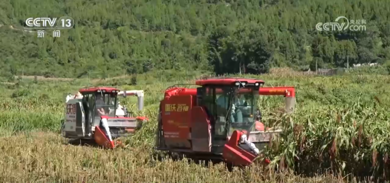 “良种良技+智慧农机”为秋收保驾护航 科技为丰产丰收“添码加力”