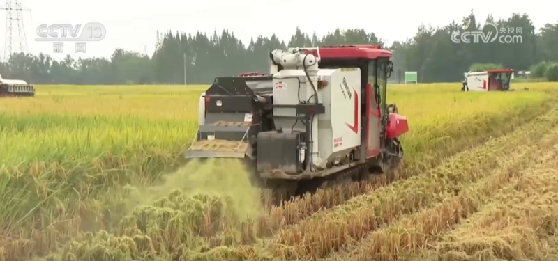 “良种良技+智慧农机”为秋收保驾护航 科技为丰产丰收“添码加力”