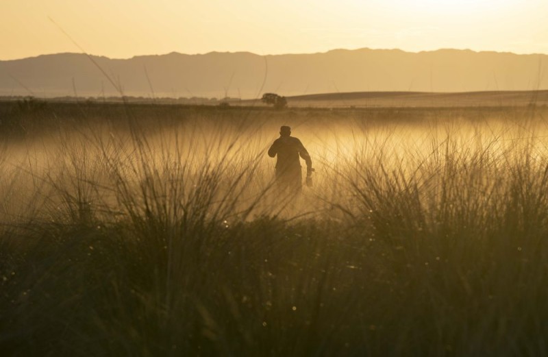 我在现场・光影流年｜天山之下 绿洲新韵