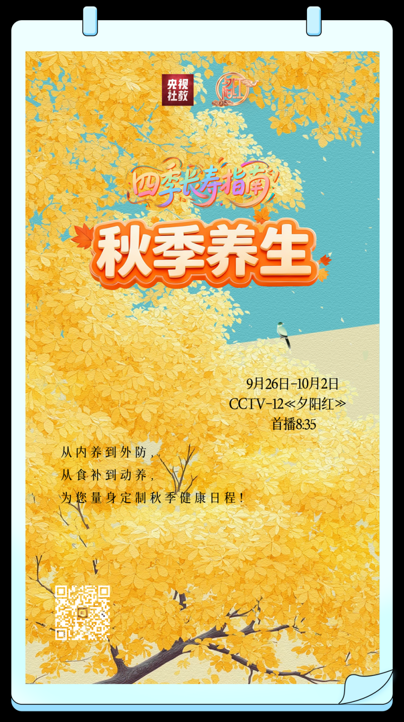 总台周末看点丨双节“旅行指南”，来了！
