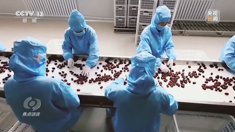 焦点访谈丨产业兴、动能新、活力旺 新画卷正在新疆徐徐展开