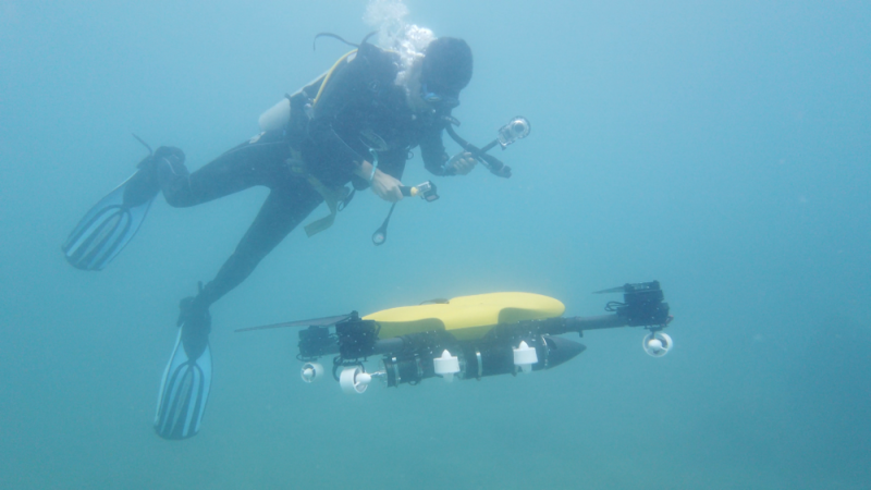 青春何以不凡？看中国青年书写时代华章