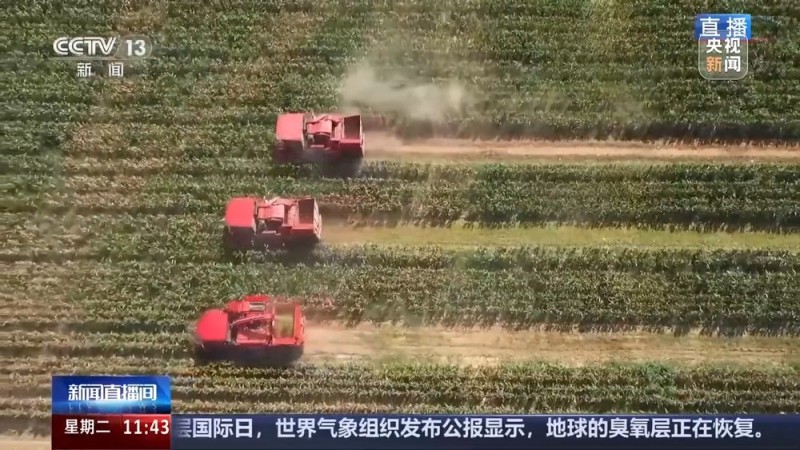 “十四五”时期农业农村发展有何变化与成效？几个关键词告诉你