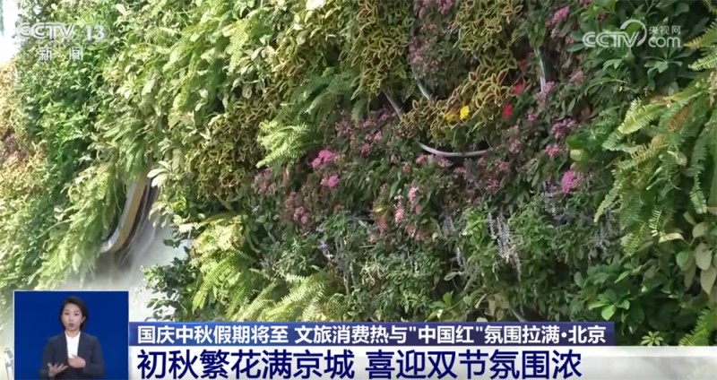 新业态新场景不断涌现  文旅消费“热”与最美“中国红”拉满节日氛围感