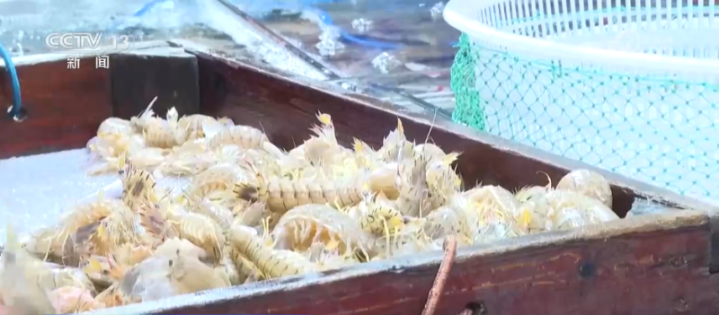 “果盘子”物丰量足、海鲜花卉购销火热 假日消费市场供需两旺活力足
