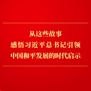从这些故事，感悟习近平总书记引领中国和平发展的时代启示
