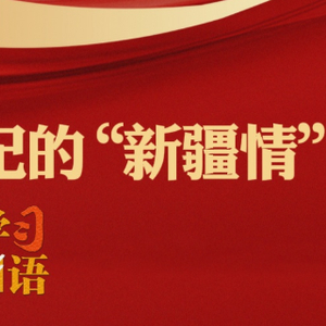 学习新语｜习近平总书记的“新疆情”
