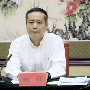 中央巡视组、省委巡视组联动巡视期间，姚任被查