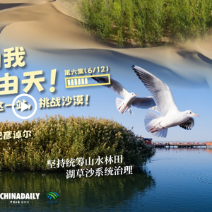 幸会中国 | 荒漠变林海，三北工程绘出生态奇迹