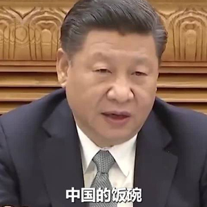 习语｜“中国的饭碗一定要端在自己的手里”