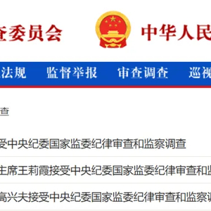 中央纪委国家监委通报：84人接受审查调查