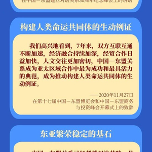 学习进行时｜习近平主席妙语中国—东盟关系